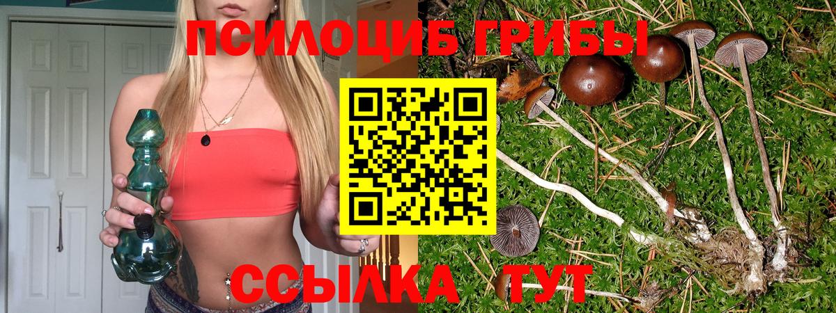 Галлюциногенные грибы мухоморы Северск