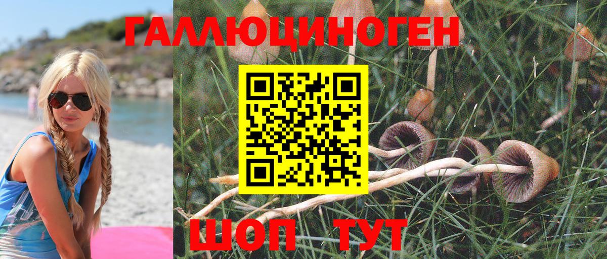 Псилоцибиновые грибы ЛСД  Галлюциногенные грибы GOLDEN TEACHER  Северск  Вход с VPN 