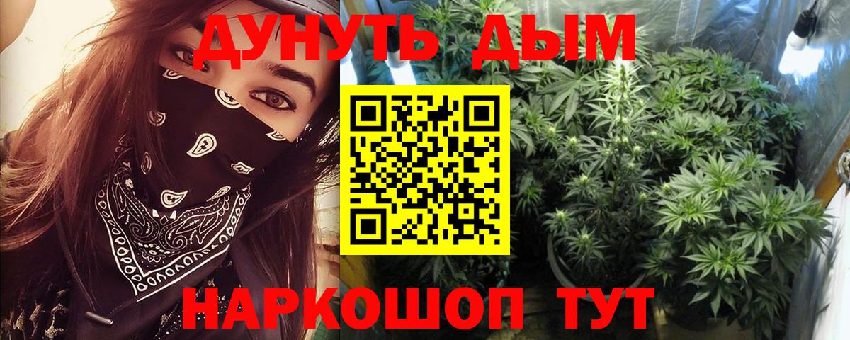 Северск  Каннабис сатива  Конопля план  Вход с VPN  МАРИХУАНА марихуана 